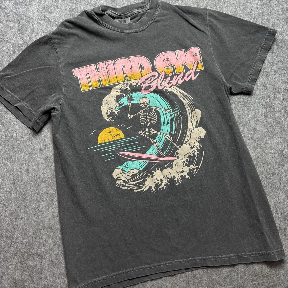 Third Eye Blind Shirt Mens Small Gray Skeleton Surf Summer Gods Tour Graphic Tee